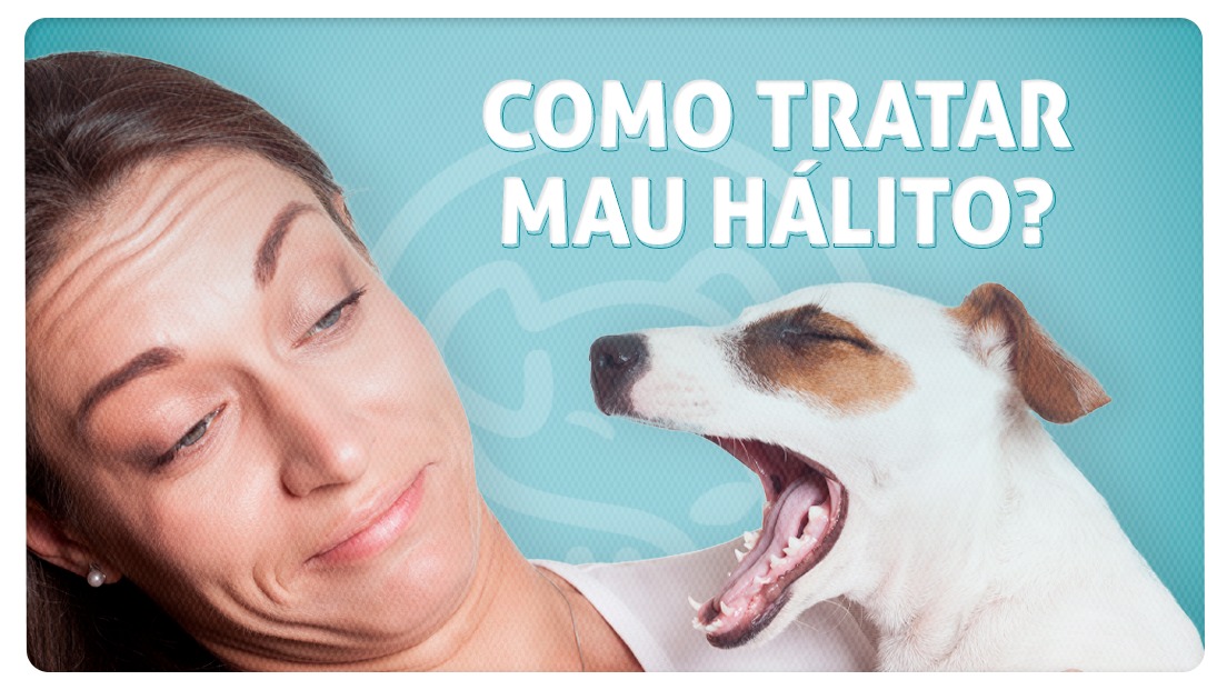 Você sabe como tratar o mau hálito do seu cachorro?